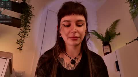 Mika online show from April 20, 6:42 pm