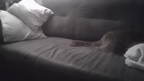 huguit026 online show from February 4, 11:27 pm