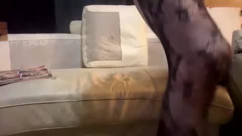 Snapshot of huippari chatting on December 15, 11:09 pm huippari online show from December 15, 11:09 pm