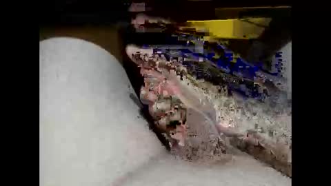 hung_mac0 online show from February 17, 2:13 pm