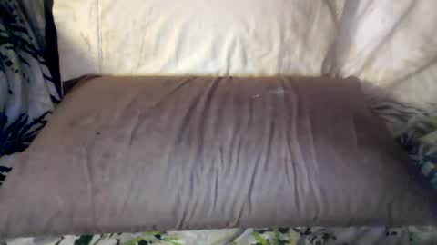 Snapshot of hungc2c420 chatting on June 12, 8:02 am hung420boner online show from June 12, 8:02 am