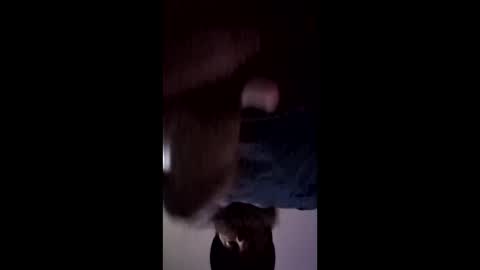 iamchango online show from March 14, 3:28 pm