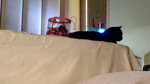 Nyxy online show from November 20, 10:04 am