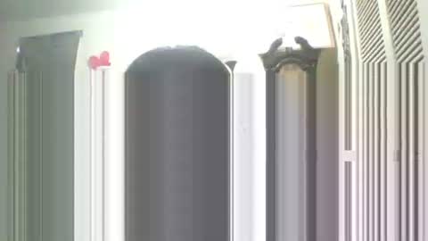 Snapshot of iamproprojectcandysugarbaby chatting on September 13, 1:55 pm I LOVE MY COCONUT EAT MY COCONUTS online show from September 13, 1:55 pm