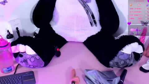 Steph - Online Again   - 1 DECEMBER online show from January 23, 5:56 am