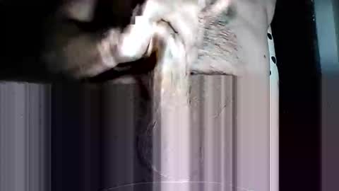 Snapshot of iamtheswayze chatting on March 11, 10:10 am Pat online show from March 11, 10:10 am