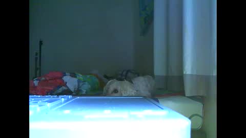 Ian is back my loves online show from November 7, 7:03 pm