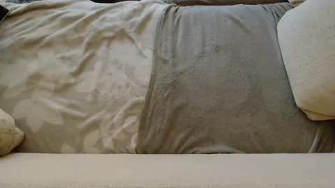 SnowTiger online show from January 24, 11:04 am