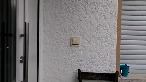 icheinfachich13 online show from October 21, 8:26 am