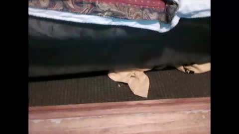 Snapshot of idkwhyidothis348732 chatting on January 5, 6:02 pm idkwhyidothis348732 online show from January 5, 6:02 pm