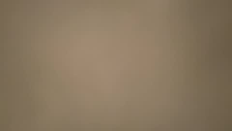 Morvoys online show from November 6, 5:36 pm