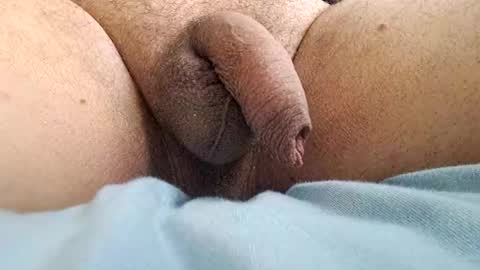 Snapshot of ikbenzo chatting on December 8, 10:41 am ikbenzo online show from December 8, 10:41 am