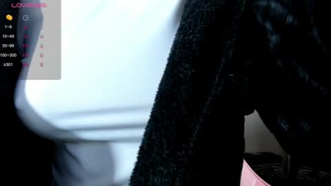 illegal_lorry online show from December 30, 4:53 am