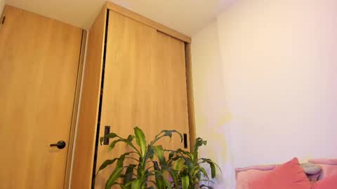 Luna online show from February 26, 6:04 am