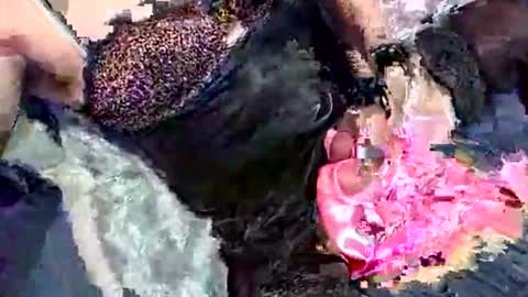 imabigolperv online show from March 2, 2:03 am