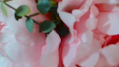 Carrie online show from January 25, 5:07 am