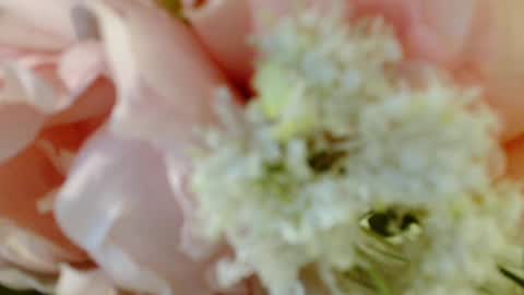 Carrie online show from March 3, 4:35 pm