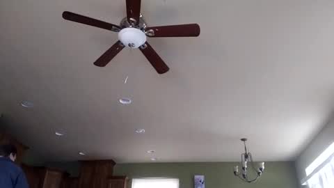 Iminyourroom online show from January 31, 8:22 pm