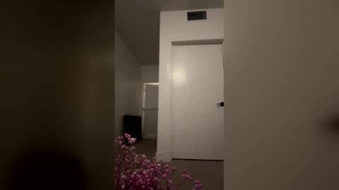 imlightskn online show from April 9, 6:13 am