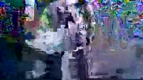 in201943 online show from March 6, 8:33 am