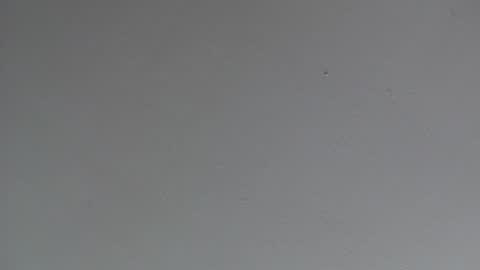 Snapshot of indianajoe69andfriend chatting on January 11, 3:13 am Indiana Joe 69 and Friend online show from January 11, 3:13 am