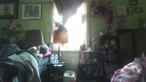 indigo_scorpio online show from February 5, 6:48 pm