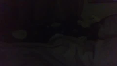 indigo_scorpio online show from February 22, 11:24 am