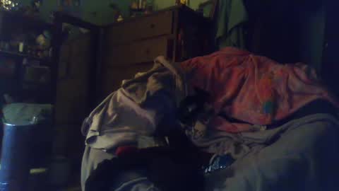 indigo_scorpio online show from February 24, 12:52 am