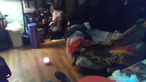 indigo_scorpio online show from February 11, 12:04 am