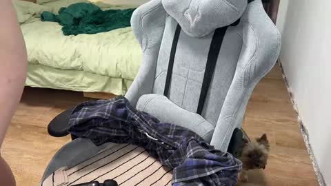 Jenny  online show from December 3, 3:11 pm