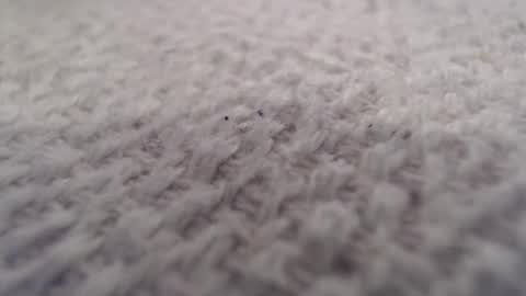 ironman383838 online show from October 20, 9:59 pm