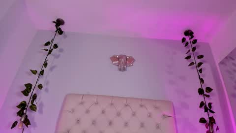   online show from November 18, 9:19 pm