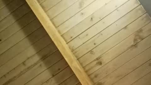 Snapshot of isabellacloverlove chatting on July 24, 3:04 am Isabella online show from July 24, 3:04 am
