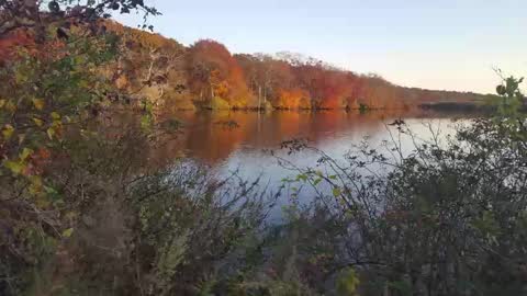 Jim online show from February 23, 7:33 am