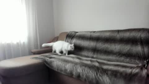 Snapshot of issabelle_69 chatting on February 9, 7:16 am Issabelle online show from February 9, 7:16 am