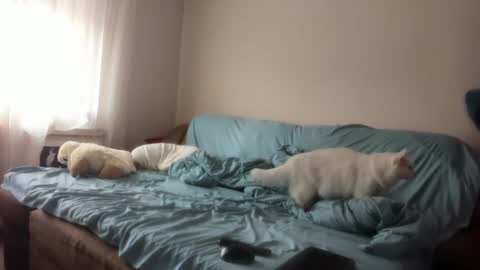 Snapshot of issabelle_69 chatting on March 4, 6:26 am Issabelle online show from March 4, 6:26 am