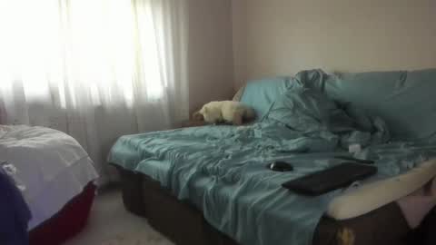 Snapshot of issabelle_69 chatting on October 20, 5:08 am Issabelle online show from October 20, 5:08 am