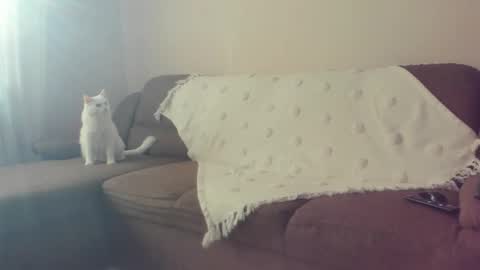 Snapshot of issabelle_69 chatting on October 30, 7:10 am Issabelle online show from October 30, 7:10 am