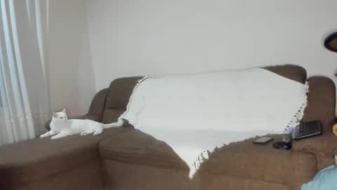 Snapshot of issabelle_69 chatting on November 6, 6:25 am Issabelle online show from November 6, 6:25 am