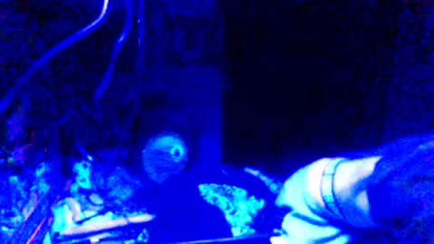 Snapshot of issyamazin667 chatting on March 25, 10:43 am Girlnextdoor online show from March 25, 10:43 am