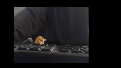 Snapshot of ital25usa chatting on January 10, 10:06 am ital25usa online show from January 10, 10:06 am