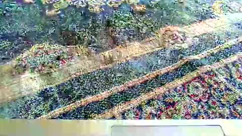 Snapshot of its_me_2323 chatting on October 5, 7:28 am its_me_2323 online show from October 5, 7:28 am