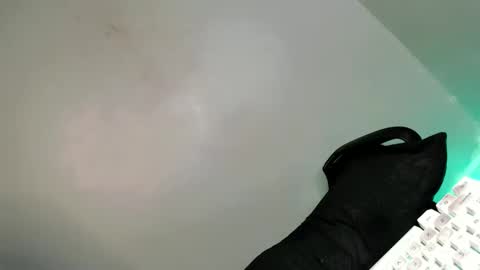 Snapshot of its_me_arabella chatting on February 21, 7:56 am Bella online show from February 21, 7:56 am