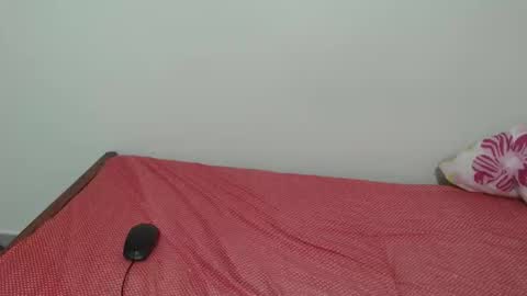 Laynne online show from November 11, 9:53 am