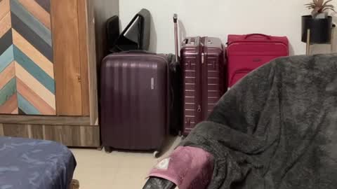 Raje online show from October 4, 12:03 pm