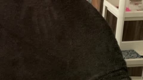 Raje online show from October 22, 3:40 am