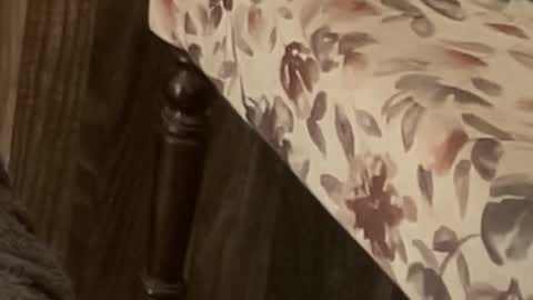 Snapshot of itsmylife021 chatting on November 11, 10:59 am Raje online show from November 11, 10:59 am