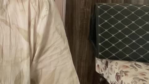 Snapshot of itsmylife021 chatting on November 26, 7:31 am Raje online show from November 26, 7:31 am