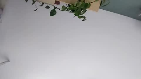 Vanchi online show from March 7, 7:16 am