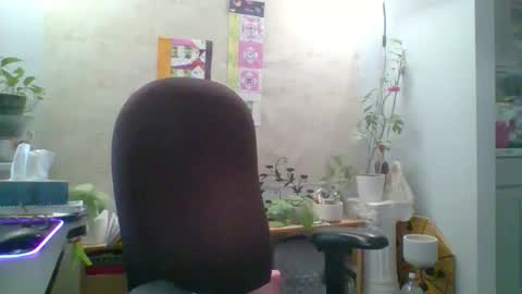 ivyjane3522 online show from April 25, 11:46 am